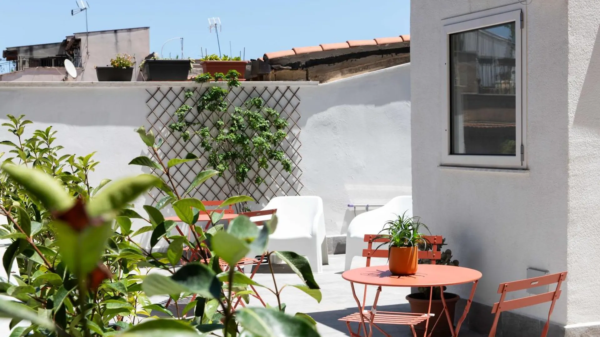 Canceddi Rooms & Terrace Palermo