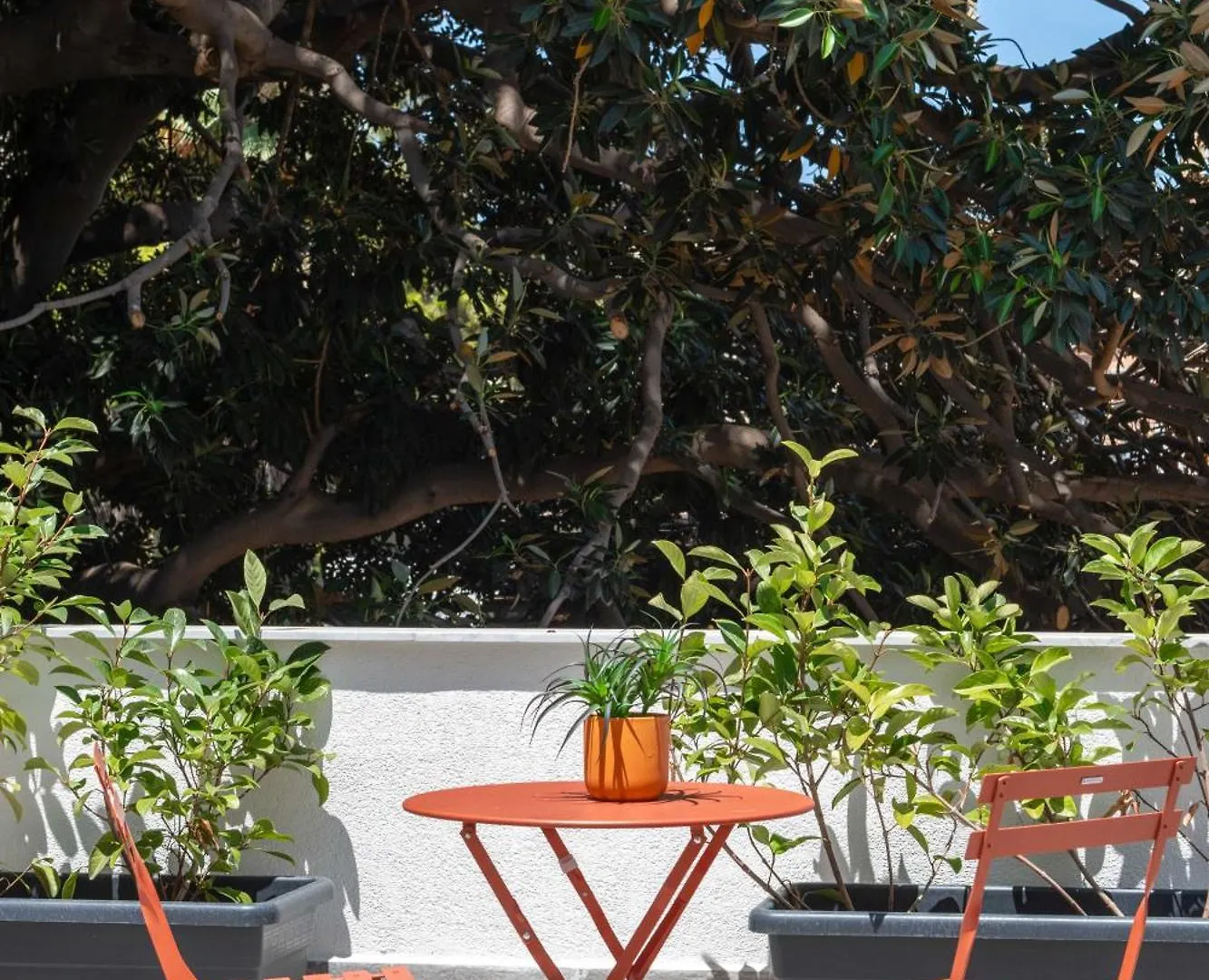 Canceddi Rooms & Terrace Palermo 0*,