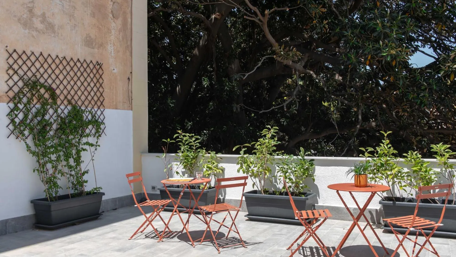 Canceddi Rooms & Terrace Palermo Pensjonat